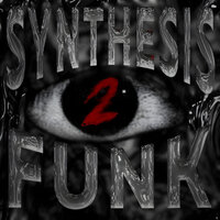 SYNTHESIS FUNK, Vol. 2 - DJ V3XD