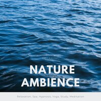 Yoga Concentration (Music for Exercises) - NA Namaste