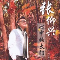 太阳不变 - 张仰兴