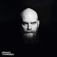 Szüret - A Bence kalandjai