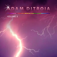 The Light Surrounds You - Adam DiTroia