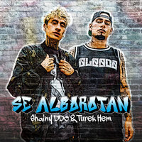 Se Alborotan - Shainy Ddc & Turek Hem