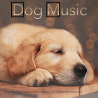 Relaxing Piano Music for Pets - Dog Music & Music for Dogs & Calming Music for Dogs