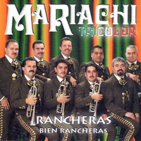 Cuando Salgo A Los Campos - Mariachi Tricolor