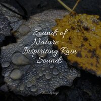 Croaking Creeks - Soothing Baby Music & Pro Sounds of Nature & Spa Zen