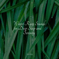 Bonfire in the Forest - Sleep Recording Sounds & Academia de Música para Massagem e Relaxamento & Nature Sounds Artists