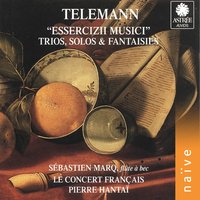 Recorder Sonata in C Major, TWV 41:C2: III. Grave - Pierre Hantai & Sébastien Marq & Le Concert Français & Георг Филипп Телеман