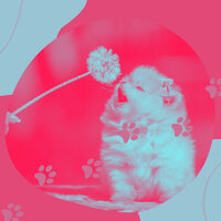 Joyful Ambiance for Doggy Wellness - Dog Music Library