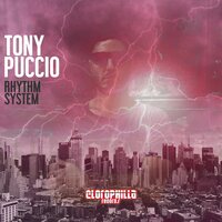 Everybody - Tony Puccio