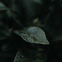 Gracioso - Sueños Triplete & Canciones de Cuna para Bebés Acadèmico & Musica Meditaction