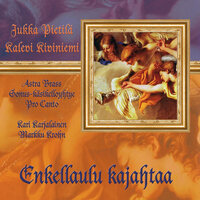 Kolmen kuninkaan marssi - Kalevi Kiviniemi & Jukka Pietilä & Markku Krohn