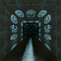 Neuroelectric Ecstasy - THE RAZ.RABOTKA