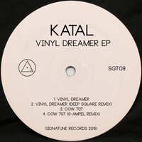 Vinyl Dreamer - Katal & Deep Square