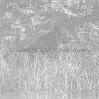 Чувство (Чтение книг) - Музыка для чтения Удары