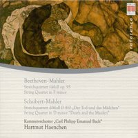 II. Allegretto ma non troppo - Hartmut Haenchen & Ludwig van Beethoven