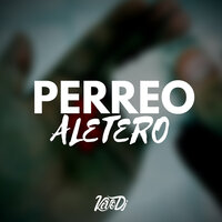 Perreo Aletero - Kevo DJ