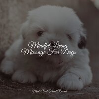 Welness and Mindfulness - Music for Dogs Collective & Music for Dogs & Dog Music