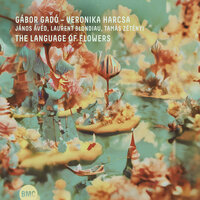 The Language of Flowers - Gábor Gadó & Veronika Harcsa & János Ávéd & Laurent Blondiau & Tamás Zétényi