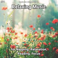 New Age Music - Relaxation Music & Relaxing Spa Music & Yoga