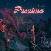 Proxima - Raphael