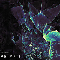 Rain Dance - Primate