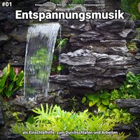 Gesunde Erkenntnisse - Entspannungsmusik Willi Antz & Schlafmusik & Entspannungsmusik