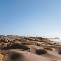 Golden Dream Fields - Easy Sleep Music & Natureza & Serenity garden