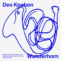 Des Knaben Wunderhorn: Das irdische Leben - Radek Baborak & Kateřina Kněžíková & Adam Plachetka & Baborák Ensemble & Густав Малер