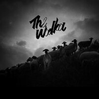 Newcomers - The Wodka