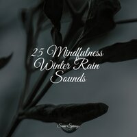 Croaking Creeks - Academia de Música para Massagem Relaxamento & Spa Music Relaxation & Rain Sounds & White Noise
