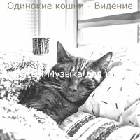Видения (Котята) - Богатый Музыка для кошек