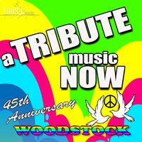 Sing a Simple Song - The Tribute Beat