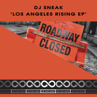 In The Mood - DJ Sneak