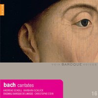 Cantata for Second Day of Pentecost, BWV 68: No. 4, Aria for Bass, 2 Oboes, Taille and Continuo "Du bist geboren mir zugute" - Christophe Coin & Ensemble Baroque de Limoges & Gotthold Schwarz & Johann Sebastian Bach