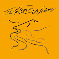 Being a Total Warm Up - The Mole
