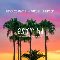 Asmr: Free Time - ASMR HD