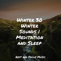 Trip Through Time - Relaxed Minds & Buddhist Meditation Music Set & Hipnose Natureza Sons Coleção