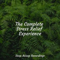 Mild - Binaural Beats Brain Waves Isochronic Tones Brainwave Entrainment & Easy Sleep Music & Serenity Spa Music Relaxation
