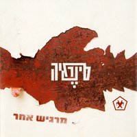 יחד נתגבר - Synergia
