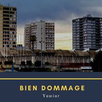 Bien dommage - Yawiar