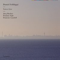 Grow Up - Daniel Schläppi