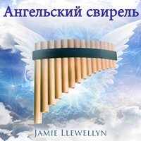 Свирель на рассвете - Jamie Llewellyn