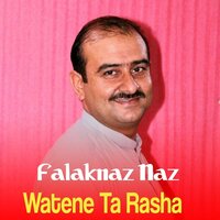 Zare Mi Dare Kagi - Falaknaz Naz