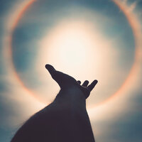 Alpha Waves for Healing - Johannes Benjamin