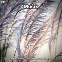 Entspannungsmusik pt. 41 - Entspannungsmusik Bea Jenges & Schlafmusik & Entspannungsmusik