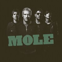 Sucia - Mole