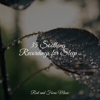 Sleep Realm - Deep Sleep Relaxation & Tranquil Music Sound Of Nature & Guided Meditation
