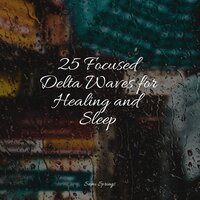 Forest, Rain, Birds, Winter - Sounds of Nature White Noise for Mindfulness Meditation and Relaxation & Organic Nature Sounds & Reiki Music