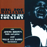 Worry You Off My Mind - Big Joe Williams