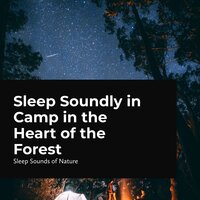 Rumbling at Midnight - Sleep Sounds Of Nature